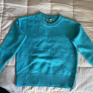 Ski blue sweater